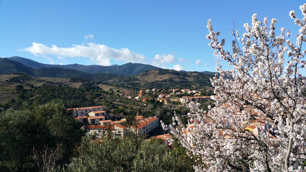 Chambres D'Hotes Et Gites Al Pati Sorède Buitenkant foto